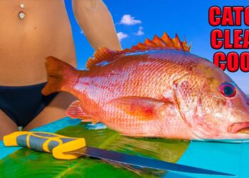 Dog Snapper (Catch Clean Cook) Grilled with BANANA Leaf! Gourmet Recipe!