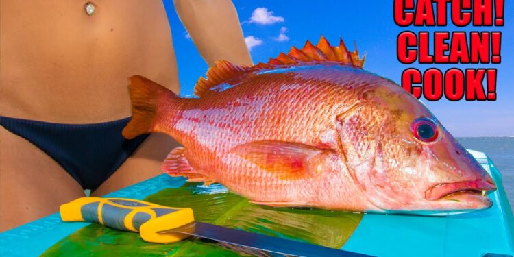 Dog Snapper (Catch Clean Cook) Grilled with BANANA Leaf! Gourmet Recipe!