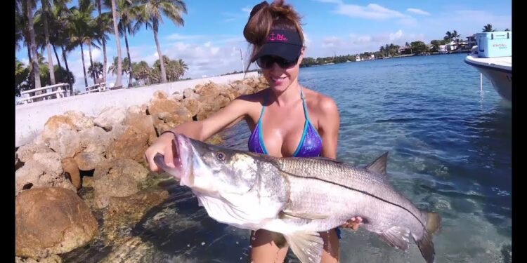 EPIC Snook Fishing