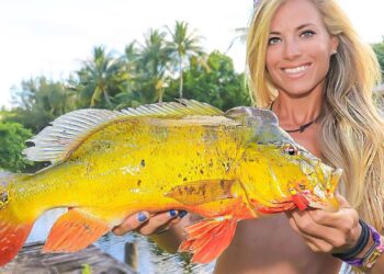 Exotic Amazonian Fish Species CAUGHT in my Backyard!