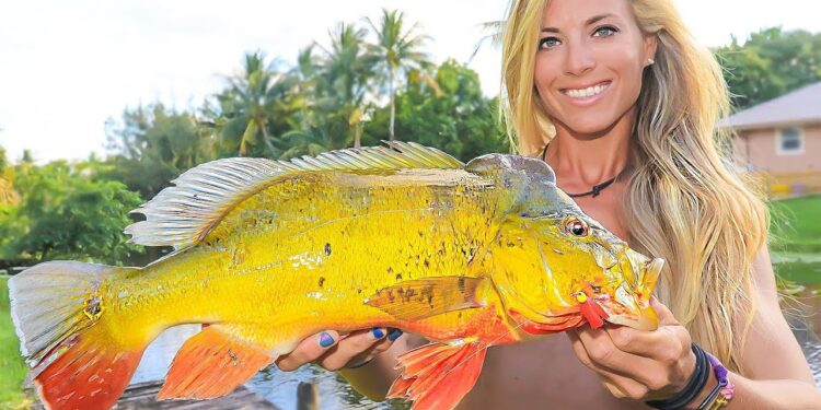 Exotic Amazonian Fish Species CAUGHT in my Backyard!