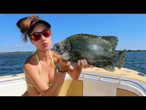 FISHING for TRIPLETAIL in Florida