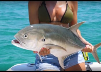 FISHING in MEXICO
