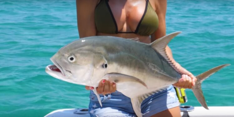 FISHING in MEXICO