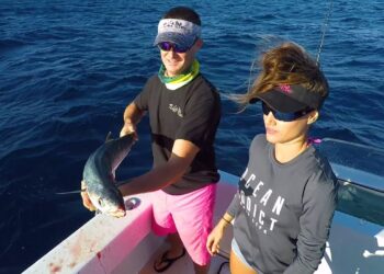 FLORIDA Keys kingfish
