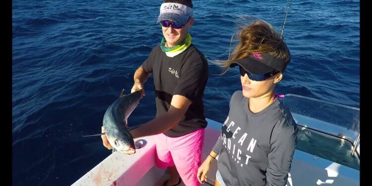 FLORIDA Keys kingfish