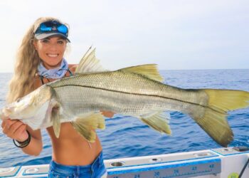 FOUND Rare Keeper Fish! SNOOK Catch Clean Cook with Stone Crab! (Snook Fishing Stuart Florida)