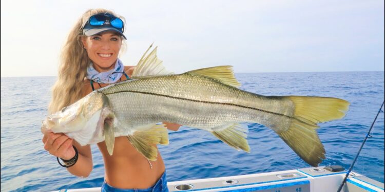 FOUND Rare Keeper Fish! SNOOK Catch Clean Cook with Stone Crab! (Snook Fishing Stuart Florida)