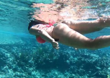 FREEDIVING reefs from land
