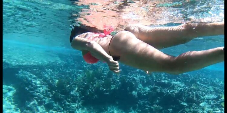FREEDIVING reefs from land