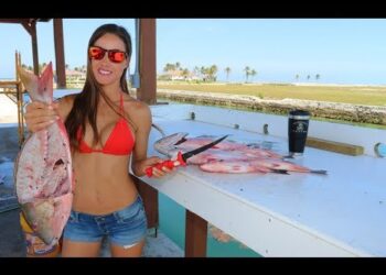 Filleting a Mutton SNAPPER