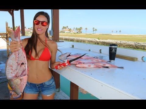 Filleting a Mutton SNAPPER