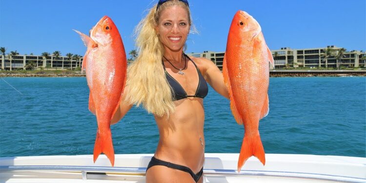 Fishing Florida Reefs for Beautiful Red Vermillion Snapper