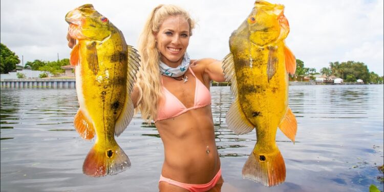 Fishing for GIANT Peacock Bass in Florida feat. HOW TO Tips!