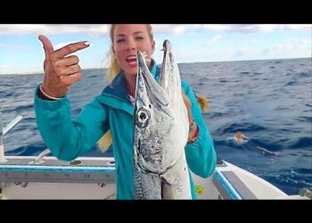 Florida Deep Sea Fishing MONSTER BARRACUDA on FREE Must-Have Bait