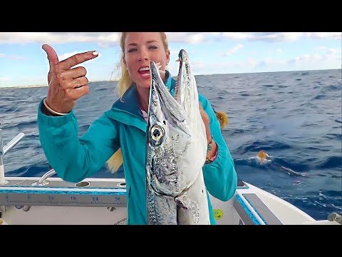 Florida Deep Sea Fishing MONSTER BARRACUDA on FREE Must-Have Bait