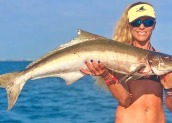 Florida Deep Sea Wreck Fishing for COBIA Video!