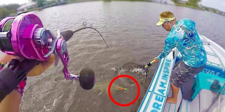Florida Inshore Fishing for GIANT Snook caught on Big NEON Lure