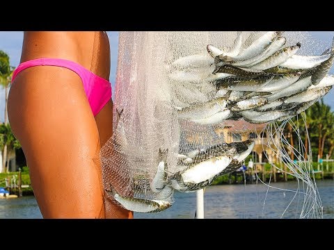 Florida Inshore Fishing the MULLET RUN…1000’s of baits everywhere!