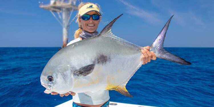 Florida Keys Deep Sea Tower Fishing 50 MILES OUT