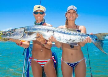 Florida Keys Flats Fishing for Sharks Video!