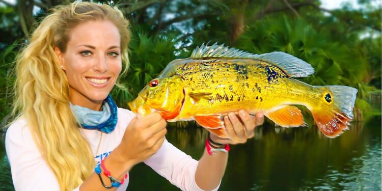 Florida Peacock Bass Fishing