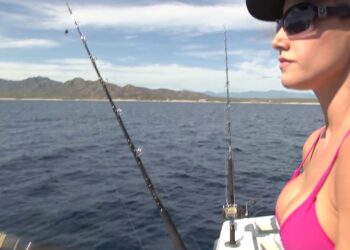 Fun in the sun FISHING moments