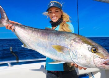 GIANT Amberjack Contaminated with Worms? (Catch Clean Cook) Grilled Fish Steaks!