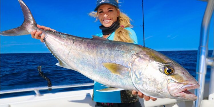GIANT Amberjack Contaminated with Worms? (Catch Clean Cook) Grilled Fish Steaks!