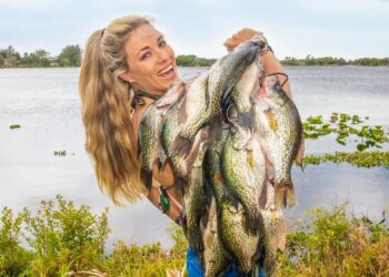 GIANT Black CRAPPIE Fishing! (CATCH CLEAN & COOK) BLT Fish Sandwich! Lake Okeechobee, FL