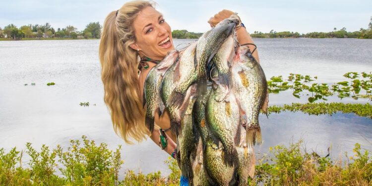GIANT Black CRAPPIE Fishing! (CATCH CLEAN & COOK) BLT Fish Sandwich! Lake Okeechobee, FL