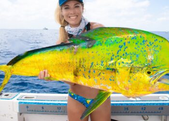 GIANT DOLPHIN Caught Deep Sea Fishing! Mahi Mahi Fishing- How to Catch Mahi (Stuart Florida Fishing)