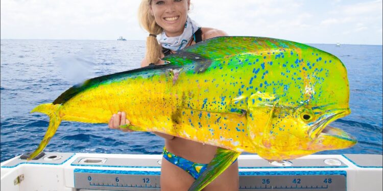 GIANT DOLPHIN Caught Deep Sea Fishing! Mahi Mahi Fishing- How to Catch Mahi (Stuart Florida Fishing)