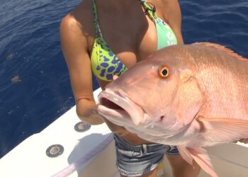 GIANT FLORIDA Keys Mutton snapper!