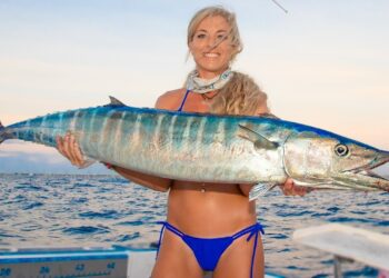 Giant WAHOO! Best How To (Catch Clean Cook) Fastest Catch Ever!