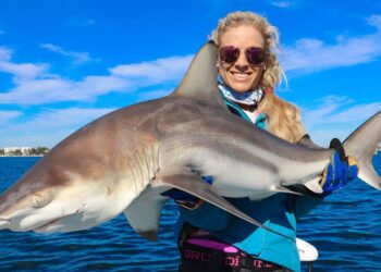 Girl Catching Blacktip SHARKS Florida Inshore Fishing Video!