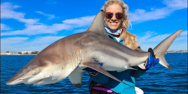Girl Catching Blacktip SHARKS Florida Inshore Fishing Video!