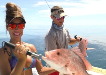 Gulf Pelagic & Reef Fish | Livin’ the Dream