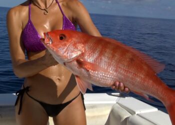 HOT Mexico Fishing pt 1