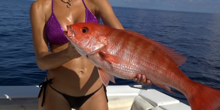 HOT Mexico Fishing pt 1