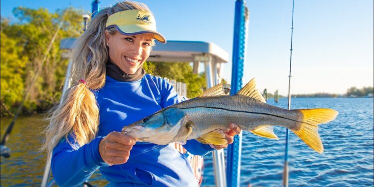 HOW TO Catch 10 Different Fish! MULTI SPECIES Inshore Saltwater Fishing Florida Video!