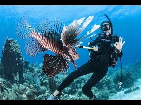 Helping save our reefs; Shooting lionfish in Roatan, Honduras.