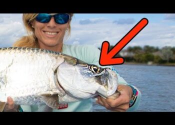 Hooked in the EYEBALL! Florida Inshore Fishing Tarpon, Snook, & Jacks
