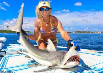 How To Catch Clean Cook Blacktip Shark!