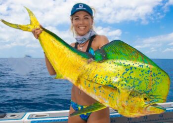 How To Fillet a MAHI MAHI & See What I Found in the BELLY! Dolphin Fish Fillet- Dorado Fish Cleaning
