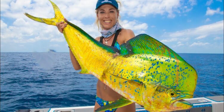 How To Fillet a MAHI MAHI & See What I Found in the BELLY! Dolphin Fish Fillet- Dorado Fish Cleaning
