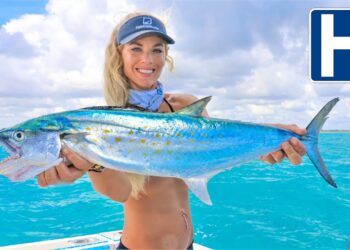 I had to go to the Hospital! Easy Spanish Mackerel Catch & Cook