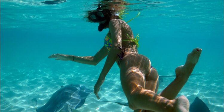 ISLAND Time! SWIMMING with STINGRAYS