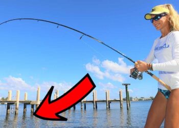 Inshore FISHING THE DOCKS for Snook! Stuart Florida Fishing Video!