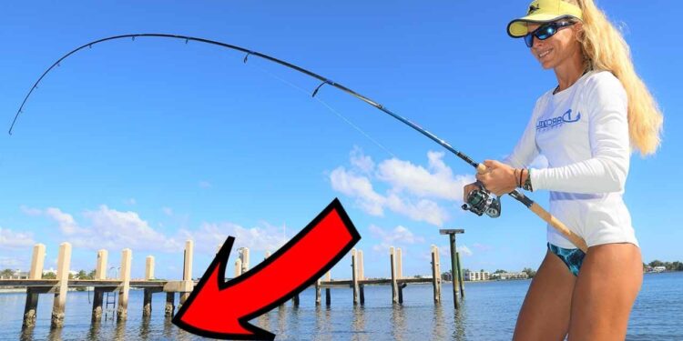 Inshore FISHING THE DOCKS for Snook! Stuart Florida Fishing Video!